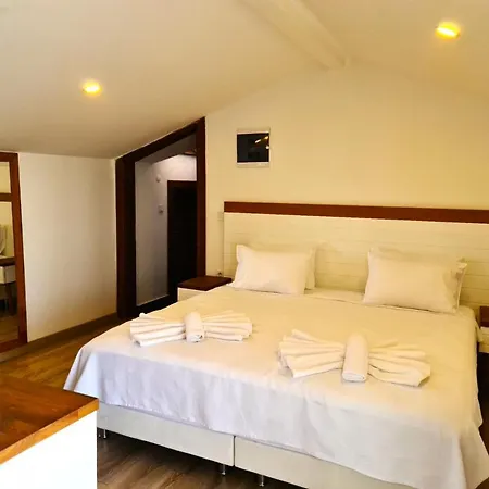 In Ephesus And Art Galery