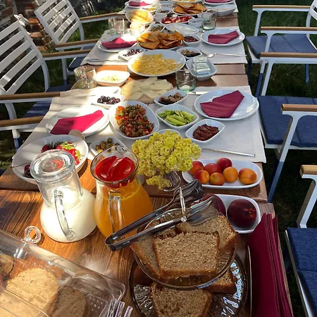 In Ephesus Hotel&art Galery Hotel Selçuk