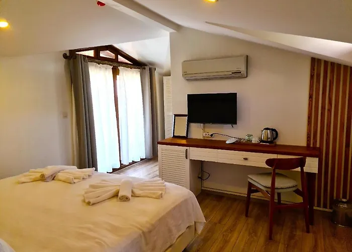 In Ephesus And Art Galery Otel