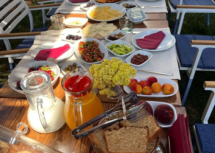 In Ephesus And Art Galery Otel Selçuk