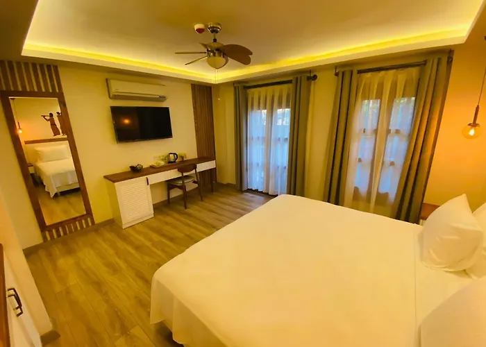 Hotel In Ephesus And Art Galery Selcuk