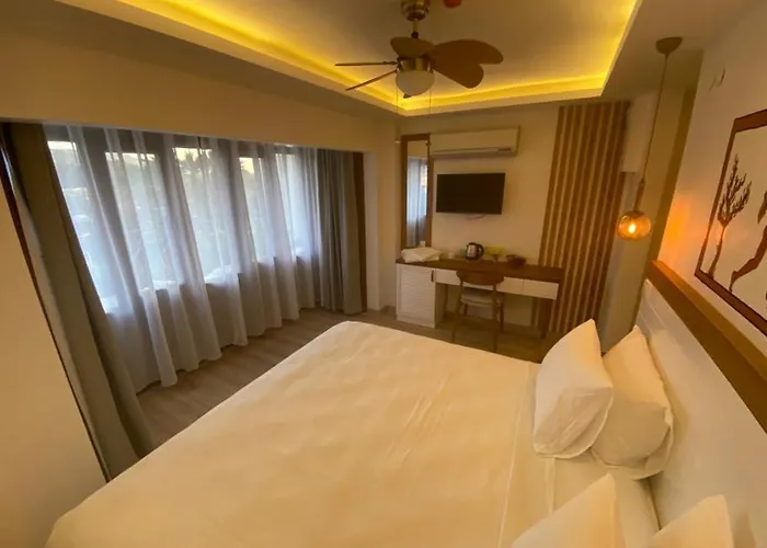 Hotel In Ephesus And Art Galery Selcuk